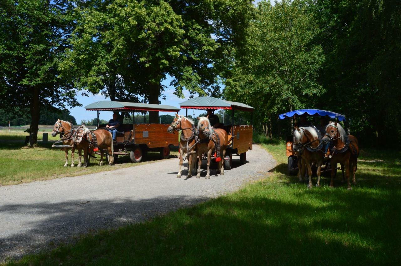 הוילה Lobnitz  Ferienhaus Am Park מראה חיצוני תמונה